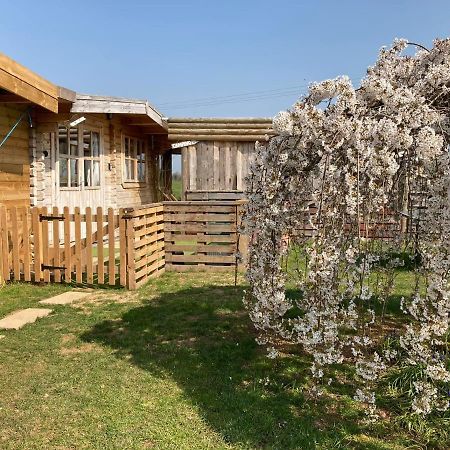The Retreat Hotel Hornblotton Bagian luar foto