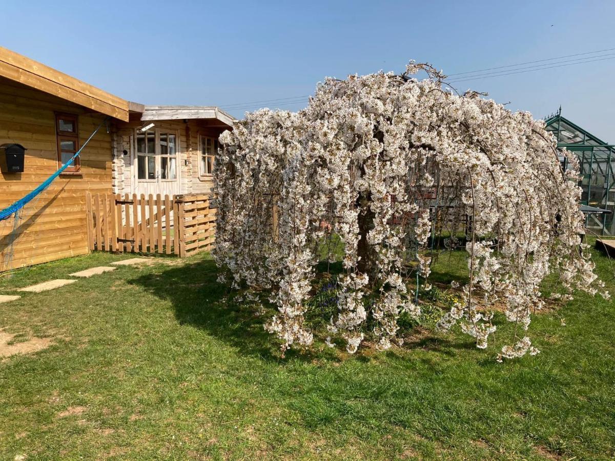 The Retreat Hotel Hornblotton Bagian luar foto